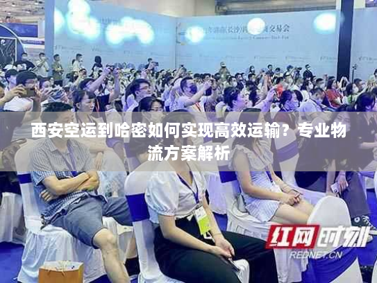 西安空运到哈密如何实现高效运输？专业物流方案解析
