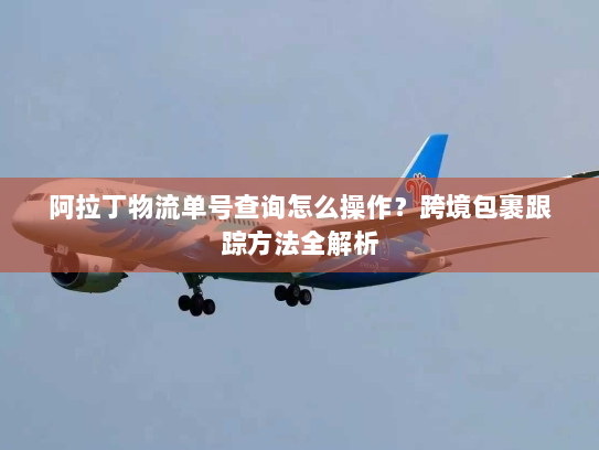 阿拉丁物流单号查询怎么操作?跨境包裹跟踪方法全解析 阿拉丁物流单号查询怎么操作?跨境包裹跟踪方法全解析