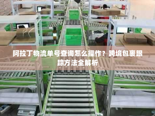 阿拉丁物流单号查询怎么操作?跨境包裹跟踪方法全解析 阿拉丁物流单号查询怎么操作?跨境包裹跟踪方法全解析