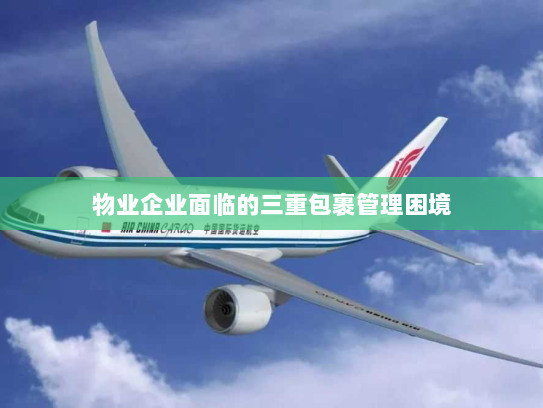 物业企业面临的三重包裹管理困境