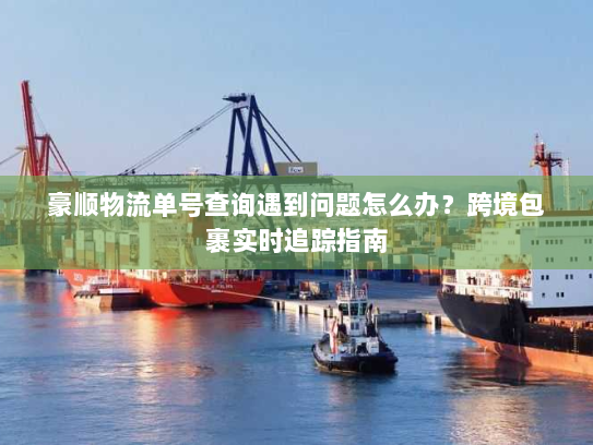 豪顺物流单号查询遇到问题怎么办？跨境包裹实时追踪指南
