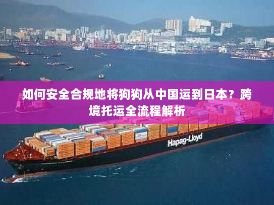 如何安全合规地将狗狗从中国运到日本？跨境托运全流程解析