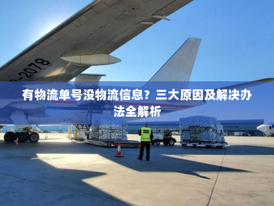 有物流单号没物流信息？三大原因及解决办法全解析