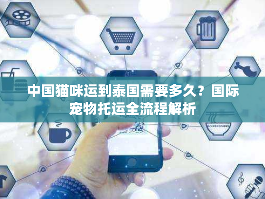 中国猫咪运到泰国需要多久？国际宠物托运全流程解析