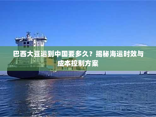 巴西大豆运到中国要多久？揭秘海运时效与成本控制方案