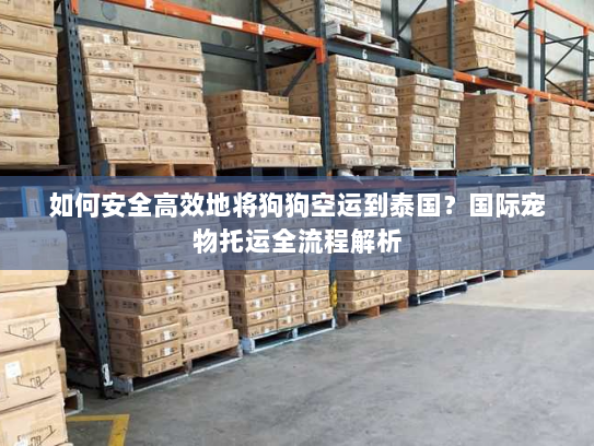 如何安全高效地将狗狗空运到泰国?国际宠物托运全流程解析 如何安全高效地将狗狗空运到泰国?国际宠物托运全流程解析