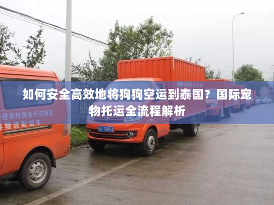如何安全高效地将狗狗空运到泰国?国际宠物托运全流程解析 如何安全高效地将狗狗空运到泰国?国际宠物托运全流程解析