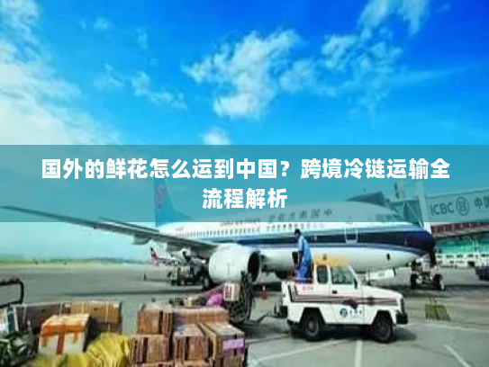 国外的鲜花怎么运到中国？跨境冷链运输全流程解析