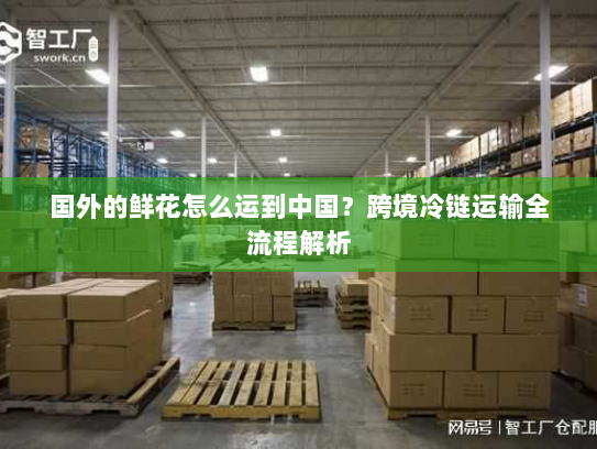 国外的鲜花怎么运到中国？跨境冷链运输全流程解析