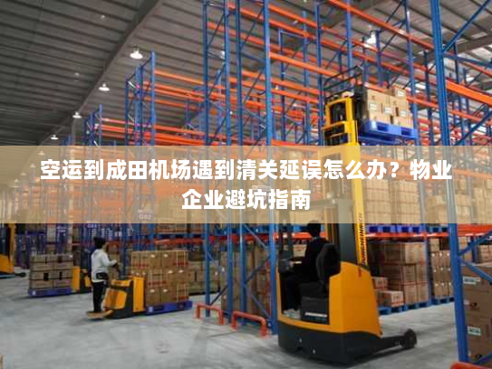 空运到成田机场遇到清关延误怎么办？物业企业避坑指南