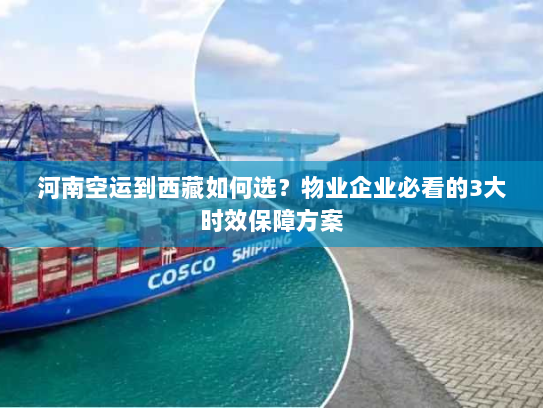 河南空运到西藏如何选?物业企业必看的3大时效保障方案 河南空运到西藏如何选?物业企业必看的3大时效保障方案