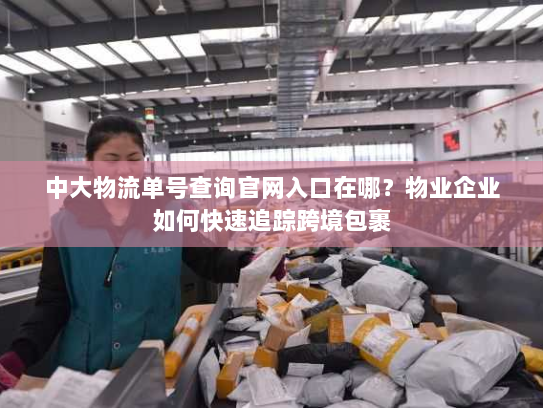 中大物流单号查询官网入口在哪？物业企业如何快速追踪跨境包裹