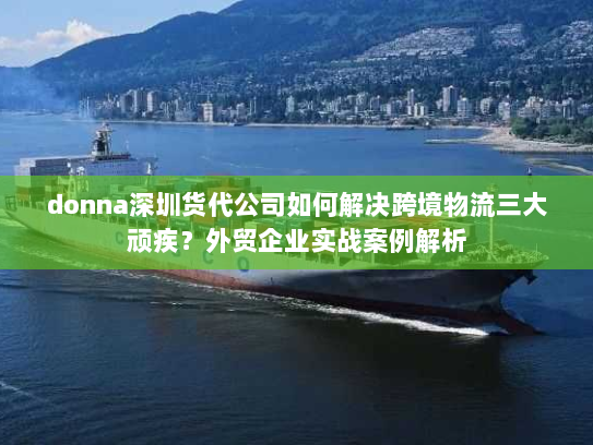 donna深圳货代公司如何解决跨境物流三大顽疾?外贸企业实战案例解析 donna深圳货代公司如何解决跨境物流三大顽疾?外贸企业实战案例解析
