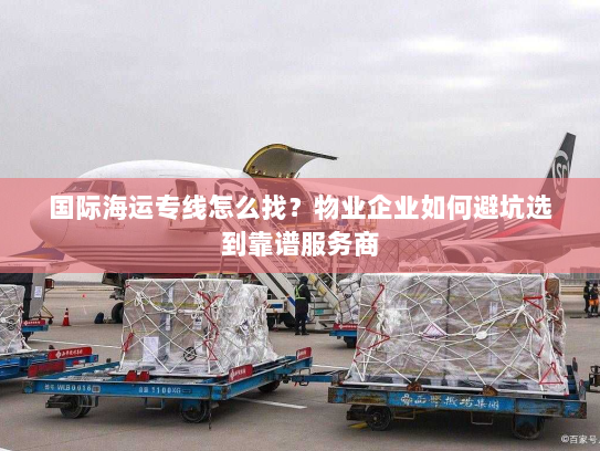 国际海运专线怎么找？物业企业如何避坑选到靠谱服务商