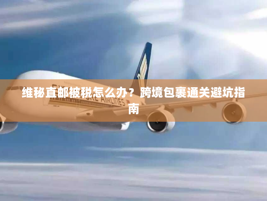 维秘直邮被税怎么办?跨境包裹通关避坑指南 维秘直邮被税怎么办?跨境包裹通关避坑指南