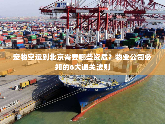 宠物空运到北京需要哪些资质?物业公司必知的6大通关法则 宠物空运到北京需要哪些资质?物业公司必知的6大通关法则