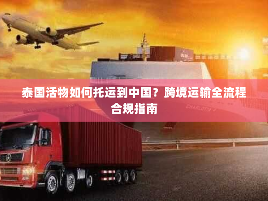泰国活物如何托运到中国？跨境运输全流程合规指南