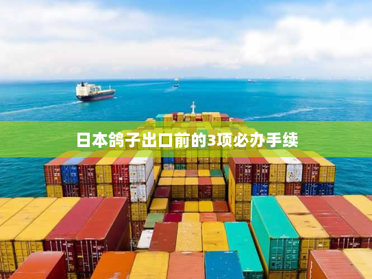 日本鸽子出口前的3项必办手续