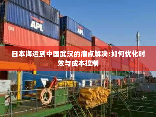 日本海运到中国武汉的痛点解决:如何优化时效与成本控制 日本海运到中国武汉的痛点解决:如何优化时效与成本控制