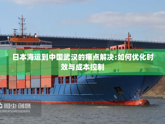 日本海运到中国武汉的痛点解决:如何优化时效与成本控制 日本海运到中国武汉的痛点解决:如何优化时效与成本控制