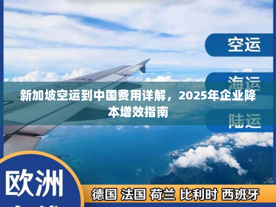 新加坡空运到中国费用详解,2025年企业降本增效指南 新加坡空运到中国费用详解,2025年企业降本增效指南