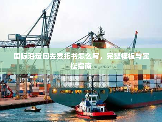 国际海运回去委托书怎么写，完整模板与实操指南