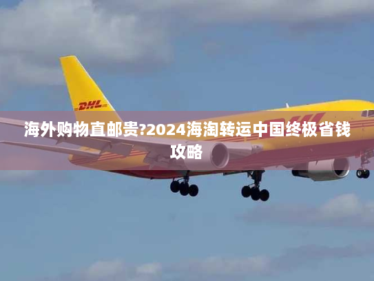 海外购物直邮贵?2024海淘转运中国终极省钱攻略 海外购物直邮贵?2024海淘转运中国终极省钱攻略