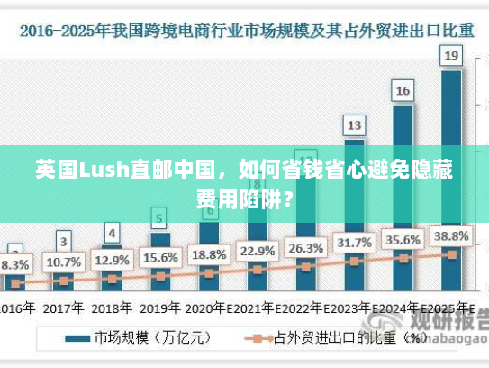 英国Lush直邮中国,如何省钱省心避免隐藏费用陷阱? 英国Lush直邮中国,如何省钱省心避免隐藏费用陷阱?