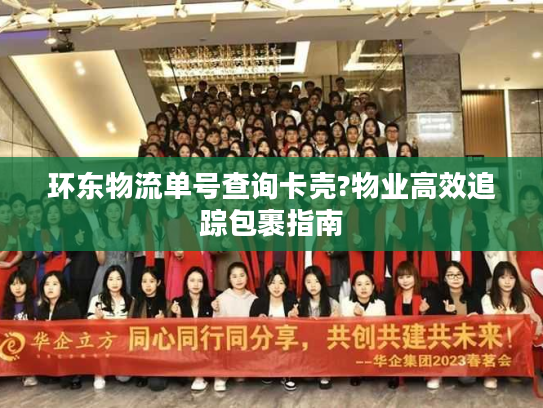 环东物流单号查询卡壳?物业高效追踪包裹指南