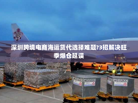 深圳跨境电商海运货代选择难题?3招解决旺季爆仓延误 深圳跨境电商海运货代选择难题?3招解决旺季爆仓延误