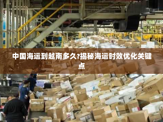 中国海运到越南多久?揭秘海运时效优化关键点 中国海运到越南多久?揭秘海运时效优化关键点