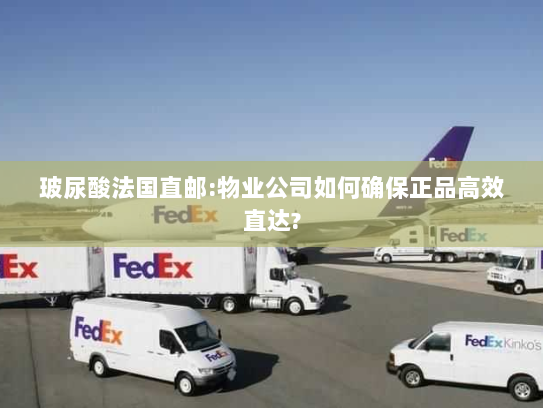 玻尿酸法国直邮:物业公司如何确保正品高效直达? 玻尿酸法国直邮:物业公司如何确保正品高效直达?