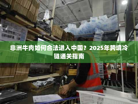 非洲牛肉如何合法进入中国?2025年跨境冷链通关指南 非洲牛肉如何合法进入中国?2025年跨境冷链通关指南