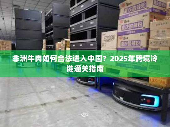 非洲牛肉如何合法进入中国?2025年跨境冷链通关指南 非洲牛肉如何合法进入中国?2025年跨境冷链通关指南