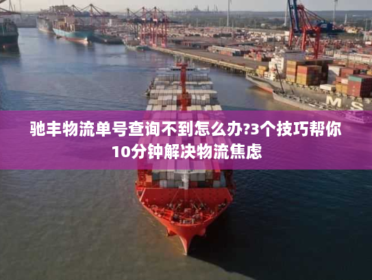 驰丰物流单号查询不到怎么办?3个技巧帮你10分钟解决物流焦虑