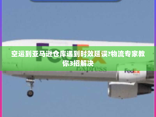 空运到亚马逊仓库遇到时效延误?物流专家教你3招解决 空运到亚马逊仓库遇到时效延误?物流专家教你3招解决