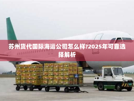 苏州货代国际海运公司怎么样?2025年可靠选择解析 苏州货代国际海运公司怎么样?2025年可靠选择解析