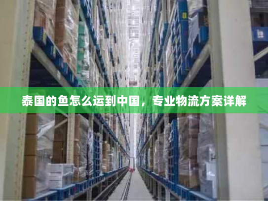 泰国的鱼怎么运到中国，专业物流方案详解