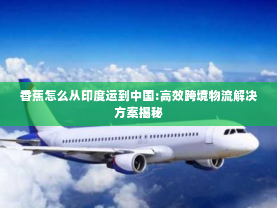 香蕉怎么从印度运到中国:高效跨境物流解决方案揭秘 香蕉怎么从印度运到中国:高效跨境物流解决方案揭秘