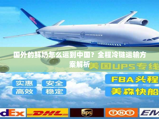 国外的鲜奶怎么运到中国？全程冷链运输方案解析