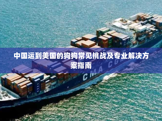中国运到美国的狗狗常见挑战及专业解决方案指南
