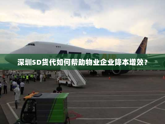 深圳SD货代如何帮助物业企业降本增效？
