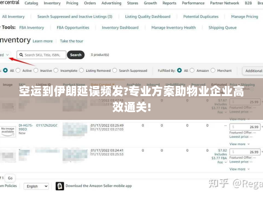 空运到伊朗延误频发?专业方案助物业企业高效通关! 空运到伊朗延误频发?专业方案助物业企业高效通关!