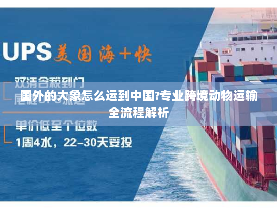 国外的大象怎么运到中国?专业跨境动物运输全流程解析 国外的大象怎么运到中国?专业跨境动物运输全流程解析