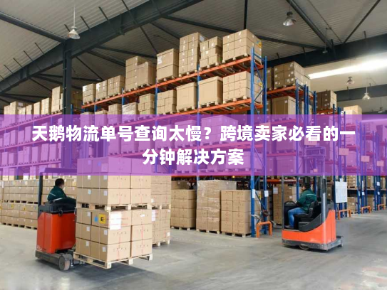 天鹅物流单号查询太慢？跨境卖家必看的一分钟解决方案