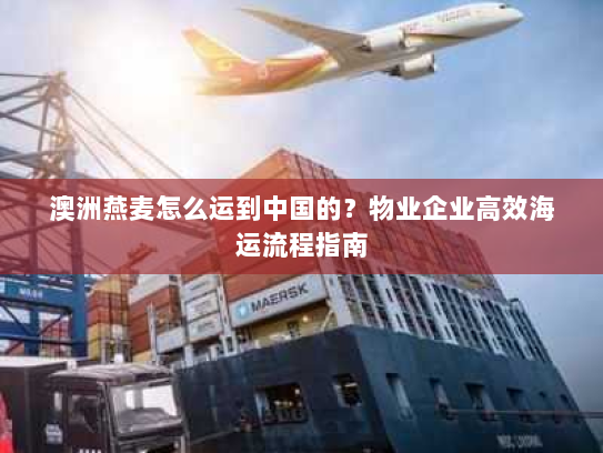 澳洲燕麦怎么运到中国的？物业企业高效海运流程指南