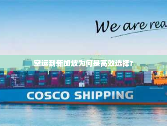 空运到新加坡为何是高效选择?