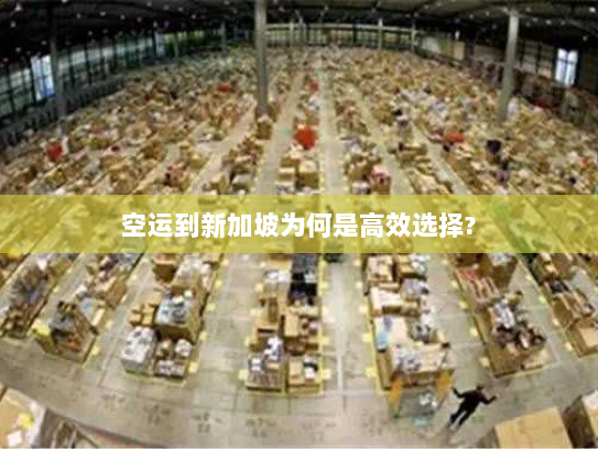 空运到新加坡为何是高效选择?