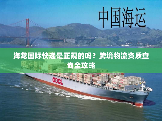 海龙国际快递是正规的吗？跨境物流资质查询全攻略