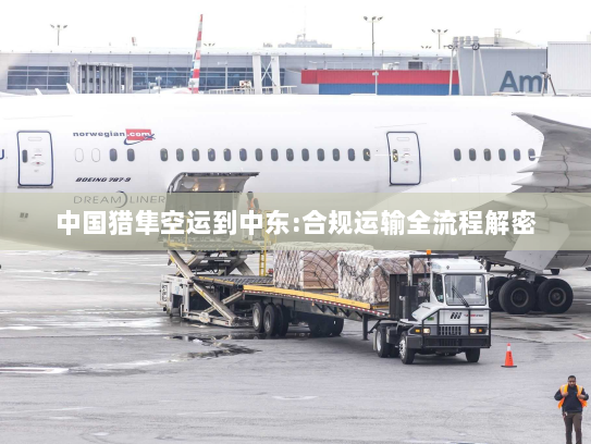 中国猎隼空运到中东:合规运输全流程解密 中国猎隼空运到中东:合规运输全流程解密